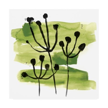 Trademark Fine Art